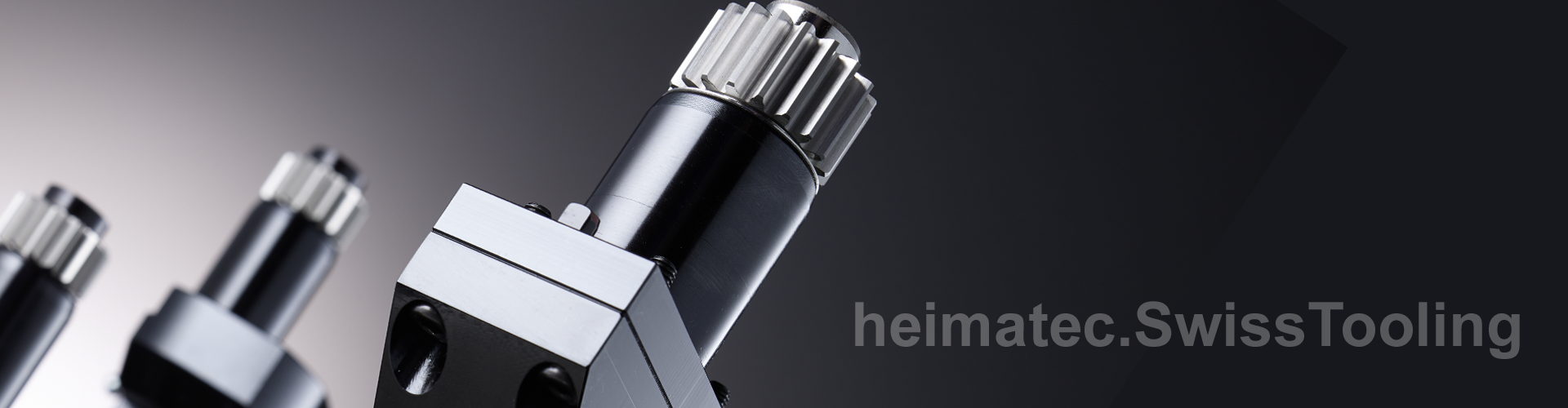 tools for automatic lathes (heimatec.SwissTooling)
